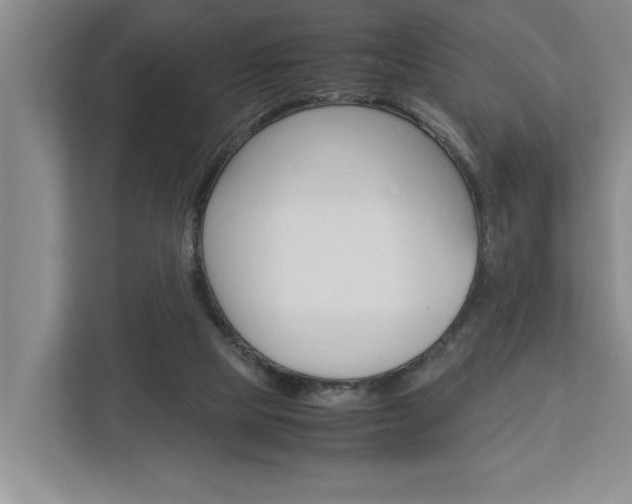 X0000113040065200908271043