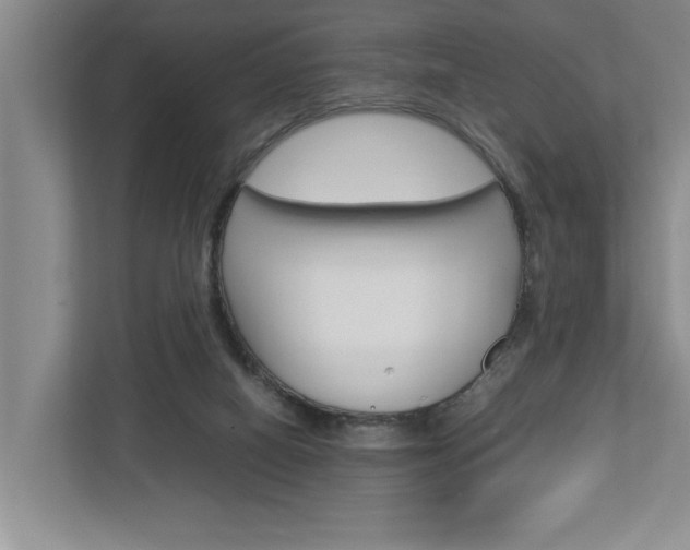 X0000113040066200908271043