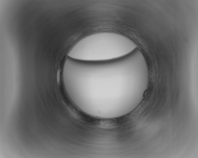 X0000113040070200908271043