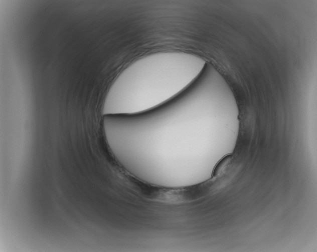 X0000113040078200908271043