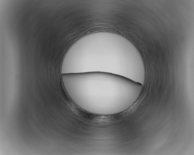 X0000113040082200908271043