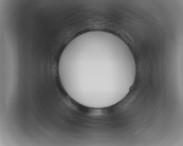 X0000113040083200908271043