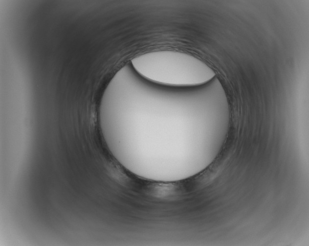 X0000113040085200908271043