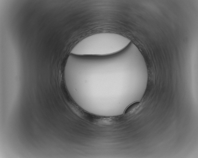 X0000113040086200908271043