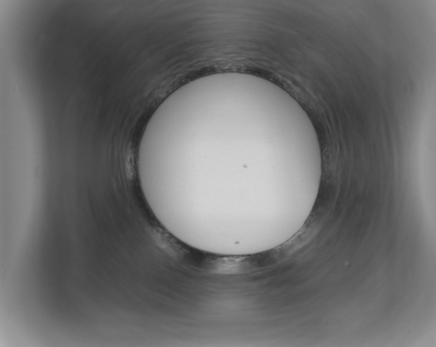 X0000113040090200908271043