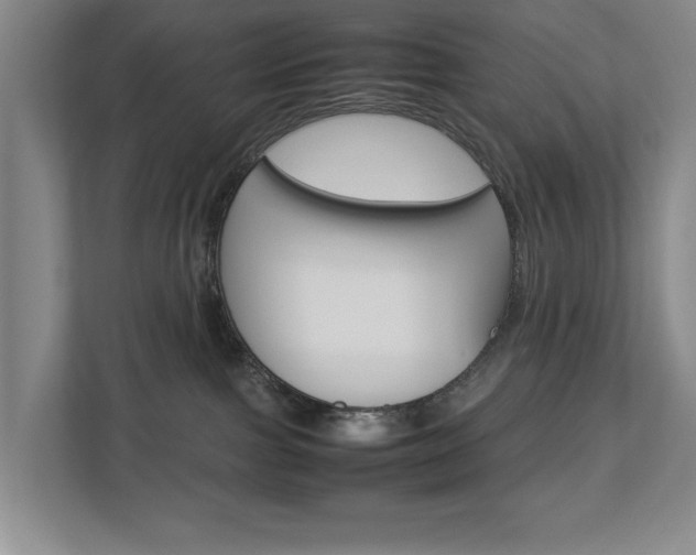 X0000113040091200908271043