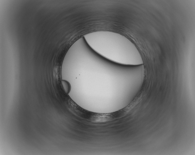 X0000113040093200908271043