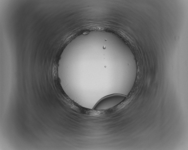 X0000113040096200908271043