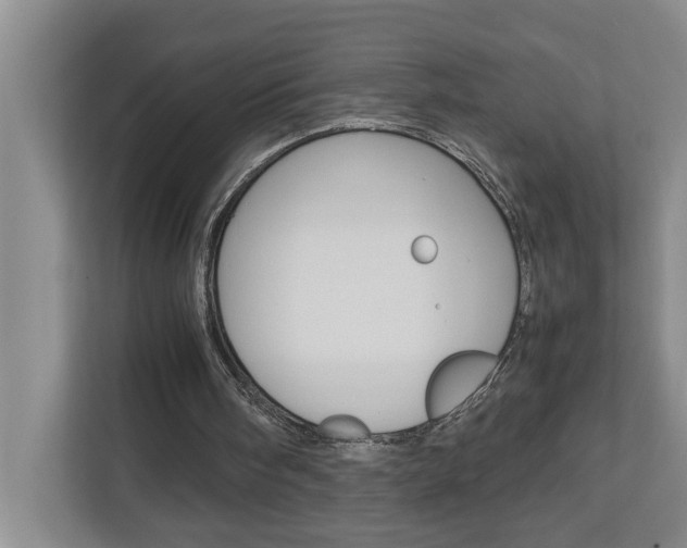 X0000113040098200908271042