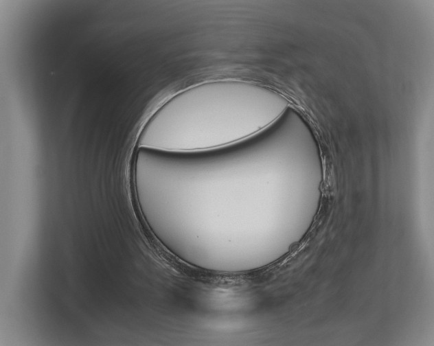 X0000113040099200908271042