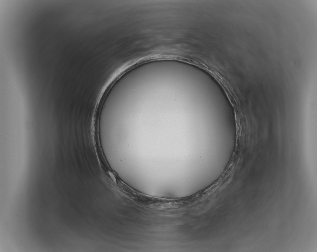 X0000113040100200908271042