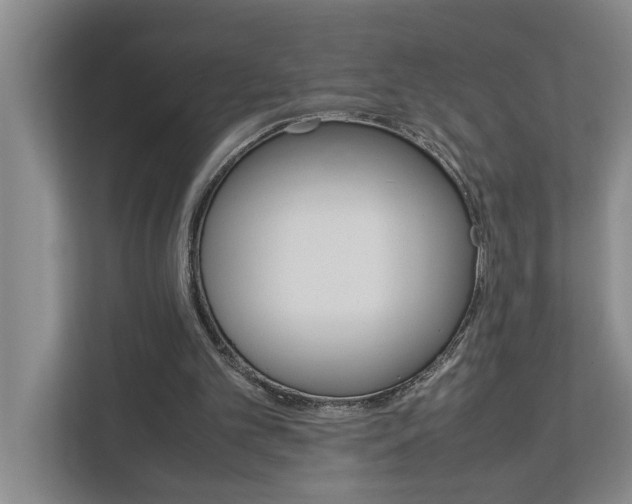 X0000113040101200908271042