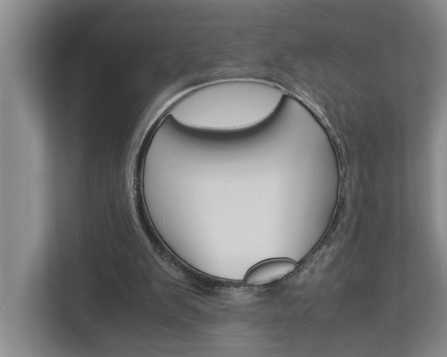X0000113040103200908271042