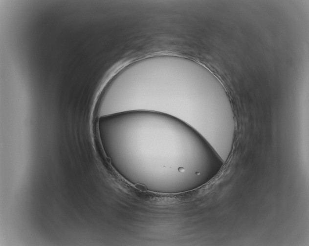 X0000113040104200908271042