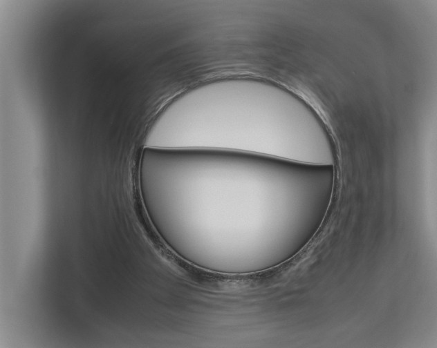X0000113040105200908271042