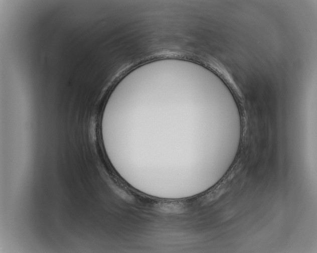 X0000113040106200908271042