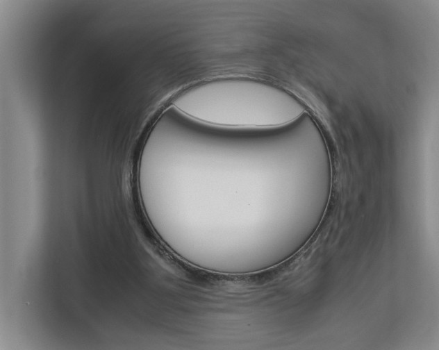 X0000113040107200908271042