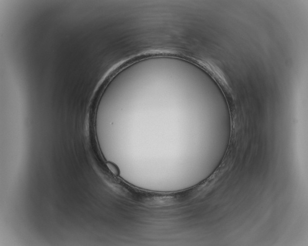 X0000113040108200908271042