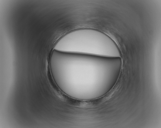 X0000113040109200908271042