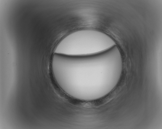 X0000113040115200908271042