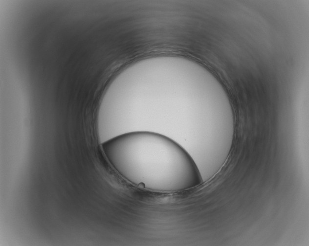 X0000113040116200908271042