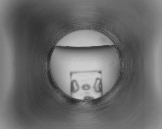 X0000113040117200908271042