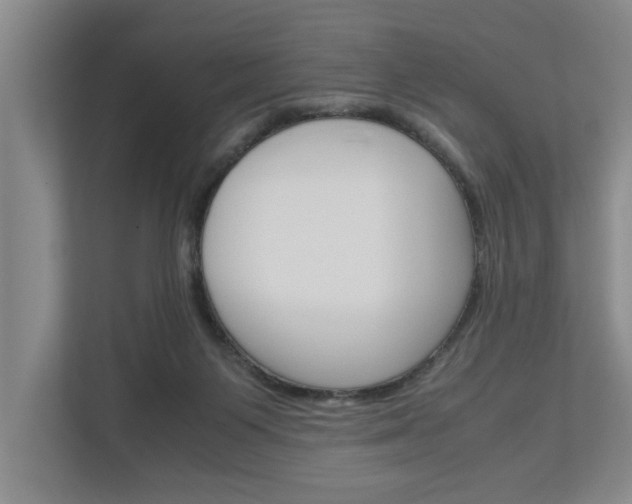 X0000113040119200908271042