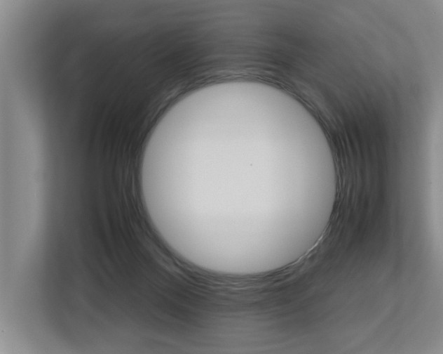 X0000113040120200908271042