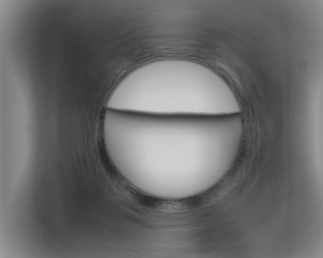 X0000113040123200908271042