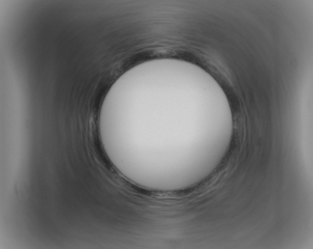 X0000113040127200908271042
