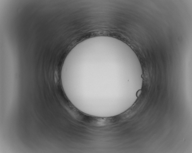 X0000113040130200908271042