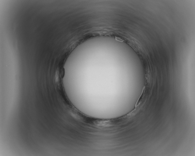 X0000113040132200908271042