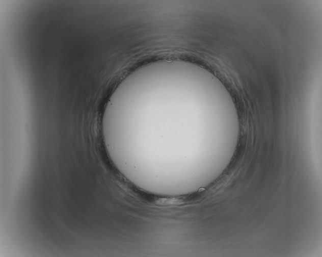 X0000113040133200908271042