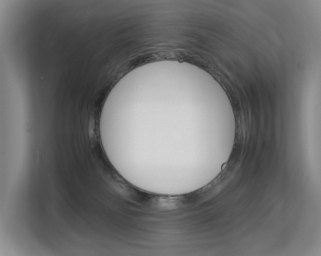 X0000113040134200908271042