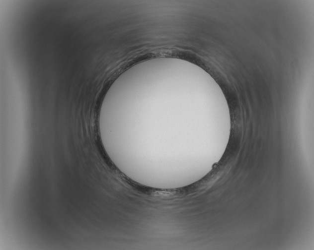 X0000113040139200908271042