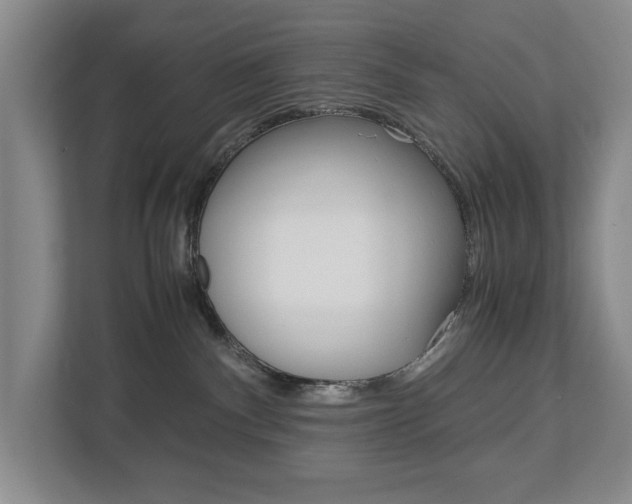 X0000113040140200908271042