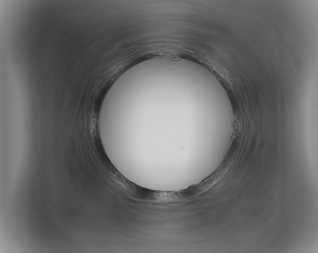X0000113040141200908271042