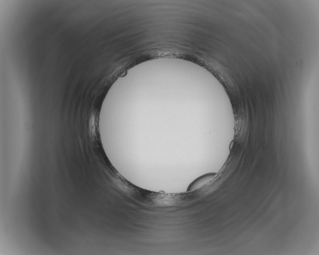 X0000113040142200908271042