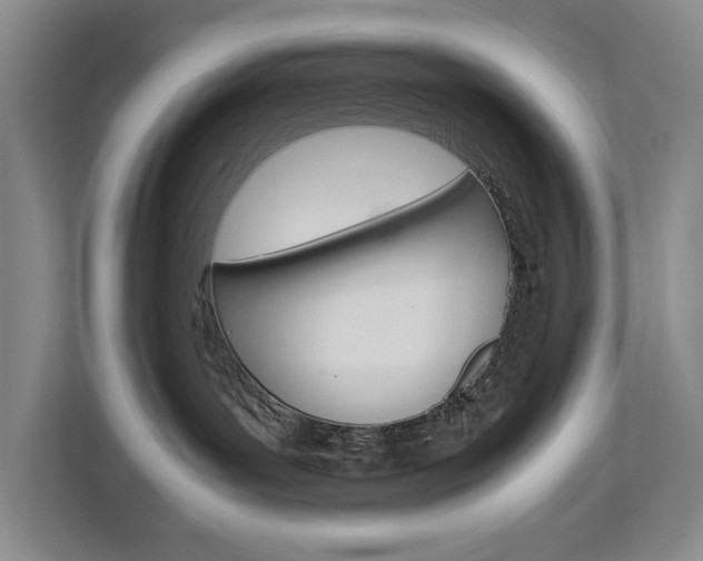 X0000113040143200908271042