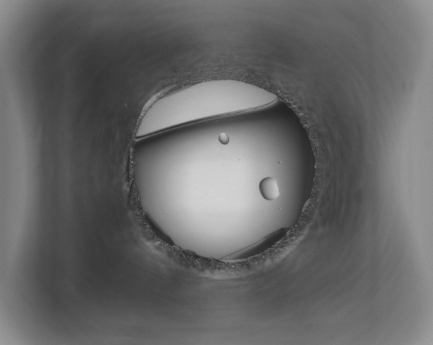 X0000113040144200908271042