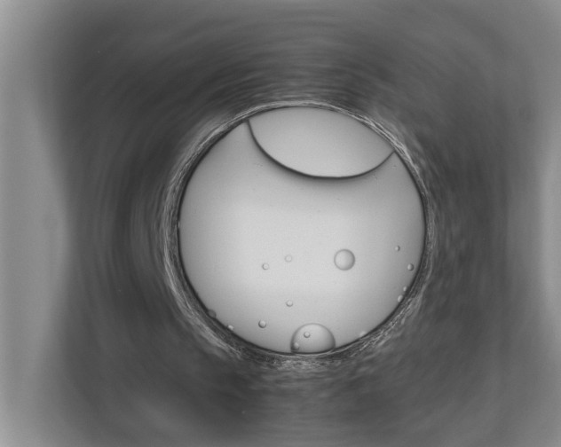 X0000113040145200908271041