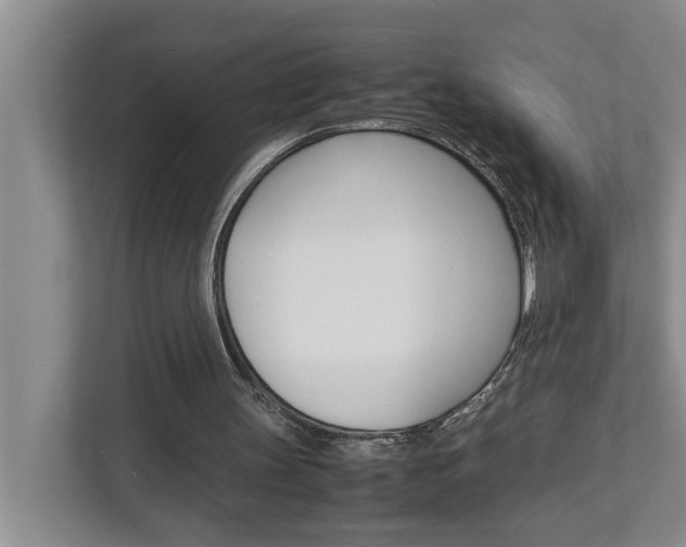 X0000113040147200908271041