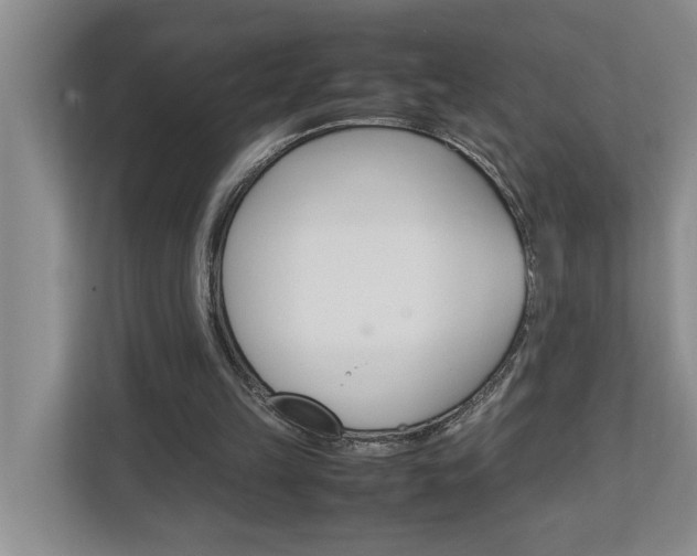 X0000113040149200908271041