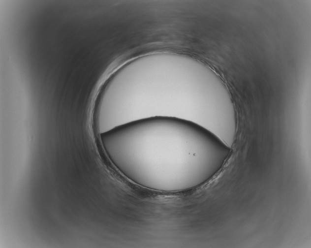 X0000113040150200908271041