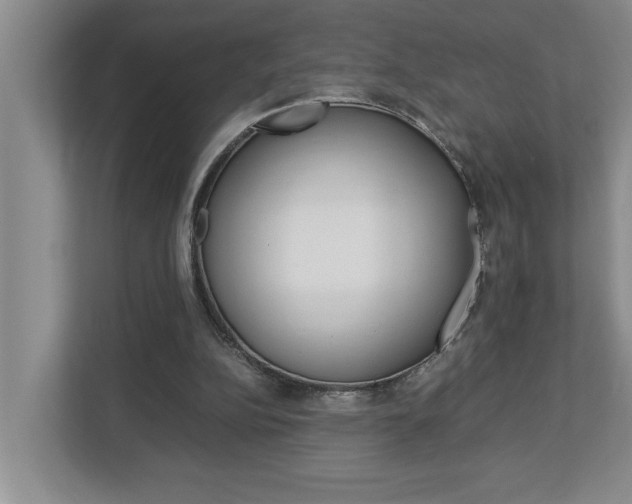 X0000113040152200908271041