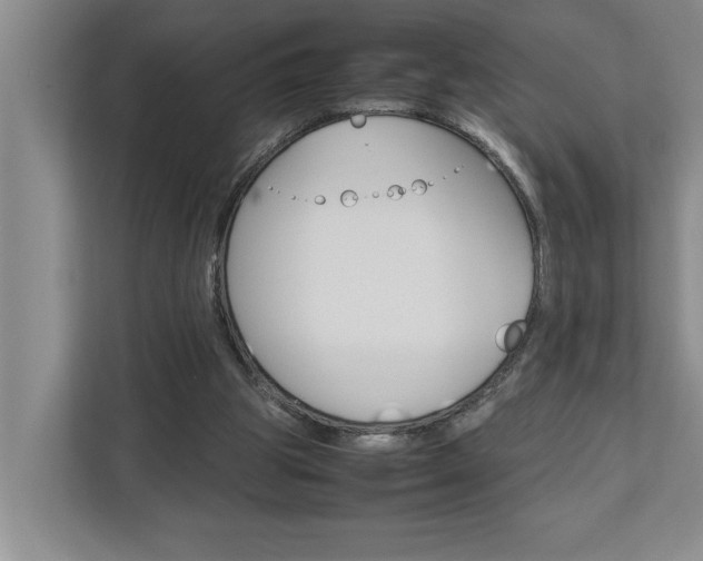 X0000113040153200908271041
