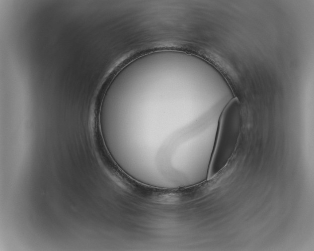 X0000113040156200908271041