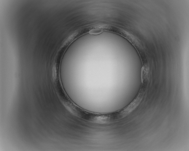 X0000113040158200908271041
