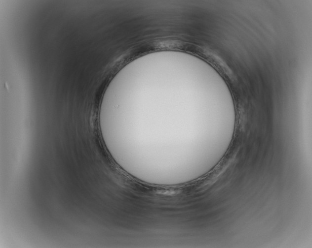 X0000113040161200908271041