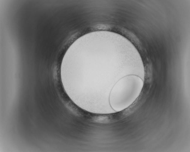 X0000113040162200908271041